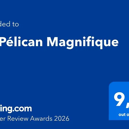 Le Pelican T2 Magnifique 아작시오