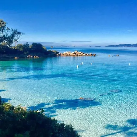 Le Pélican Magnifique F2 Appartement