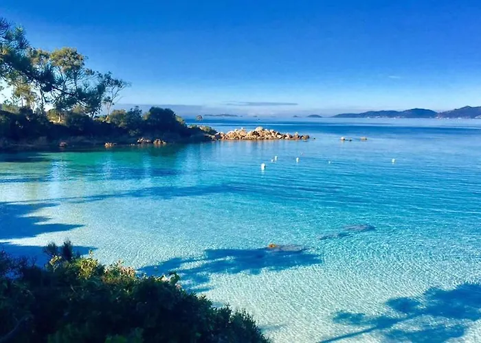 Le Pelican T2 Magnifique Appartement